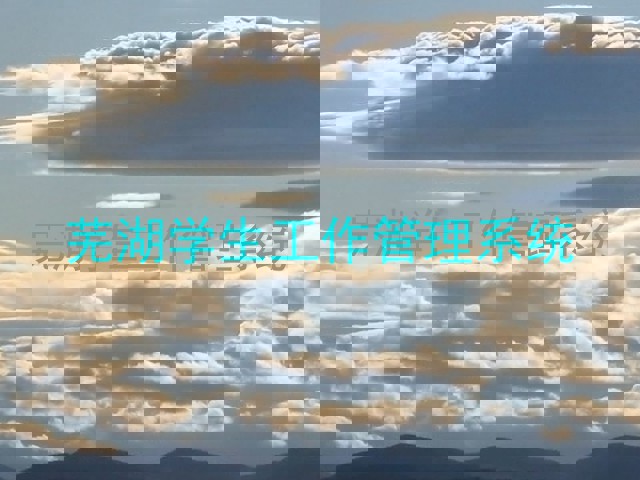 芜湖学生工作管理系统