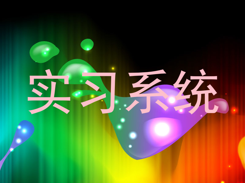实习系统