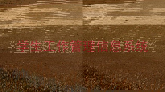 学生工作管理信息系统