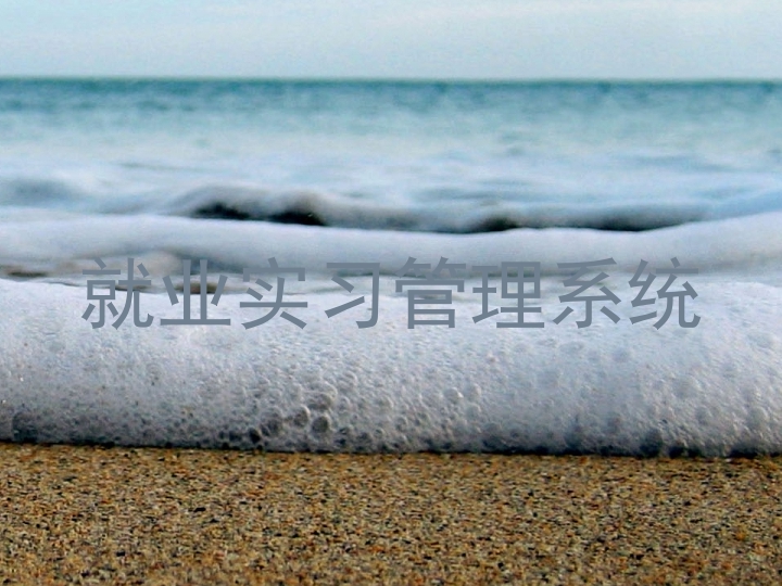 就业实习管理系统