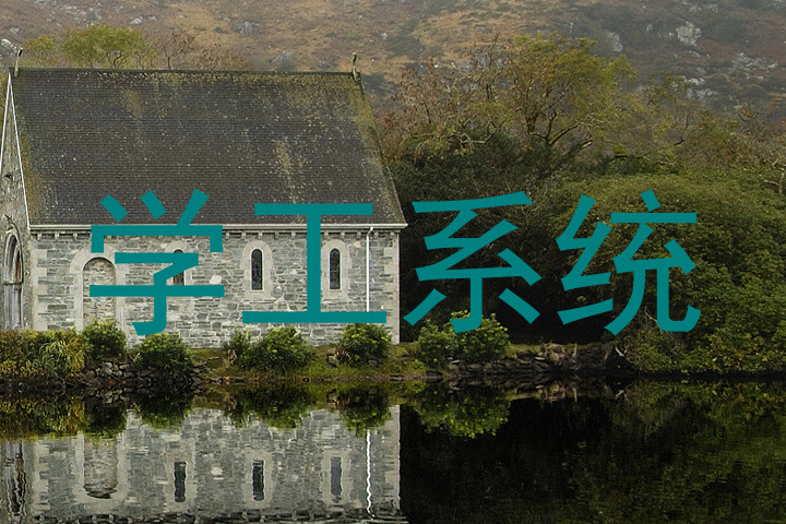 学工系统