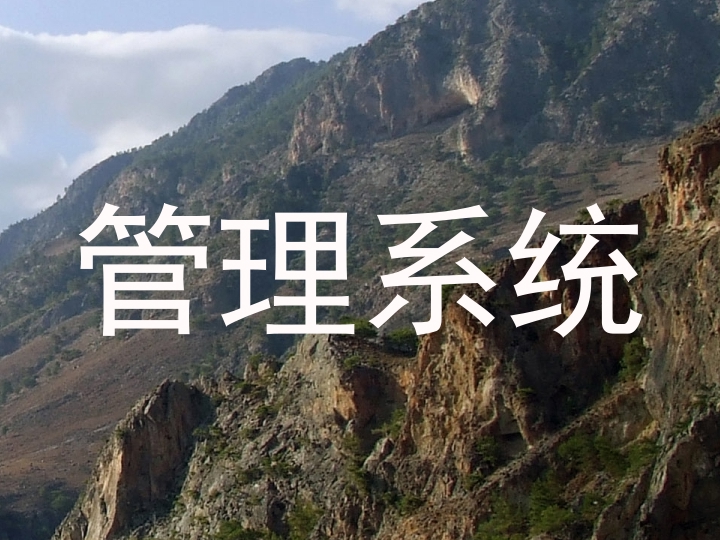 管理系统