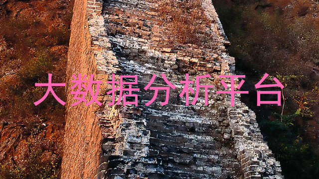 大数据分析平台