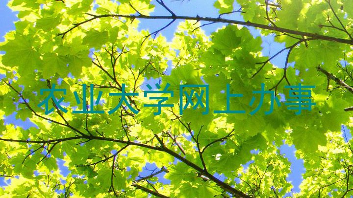 农业大学网上办事