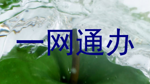 一网通办