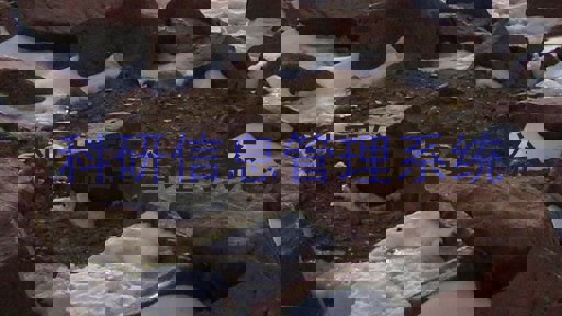 科研信息管理系统