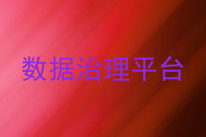 数据治理平台
