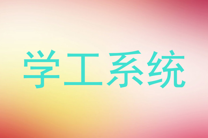学工系统