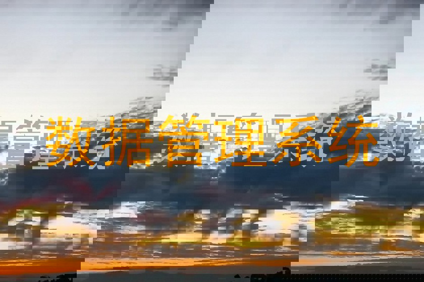 数据管理系统