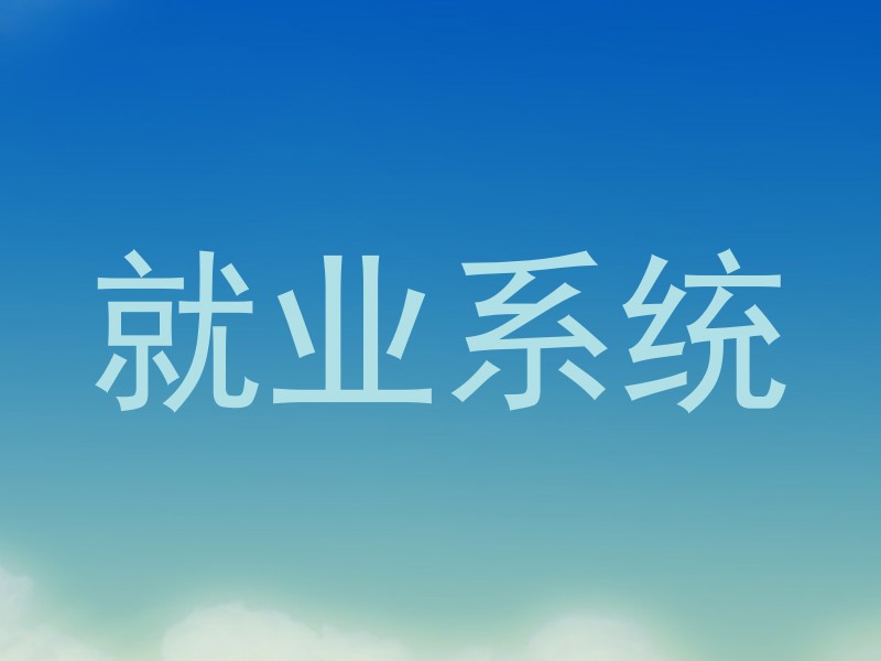 就业系统