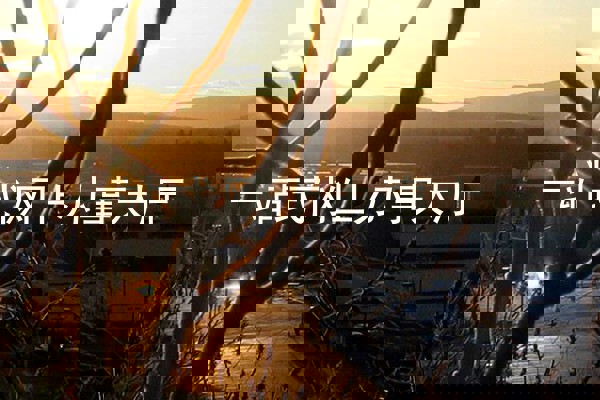 一站式网上办事大厅
