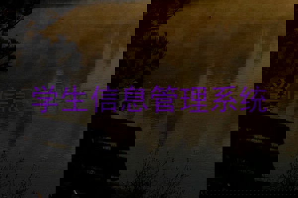 学生信息管理系统