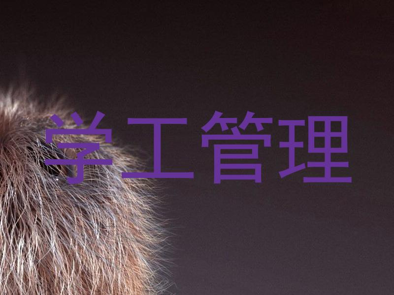 学工管理