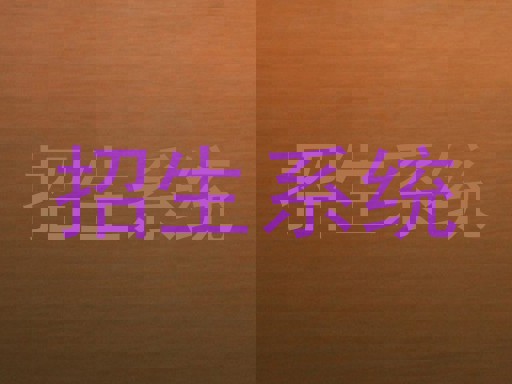 招生系统