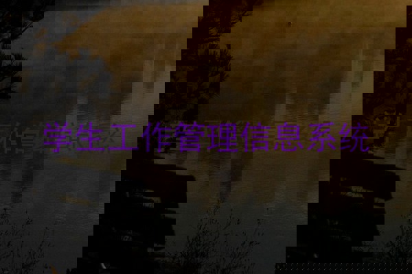 学生工作管理信息系统