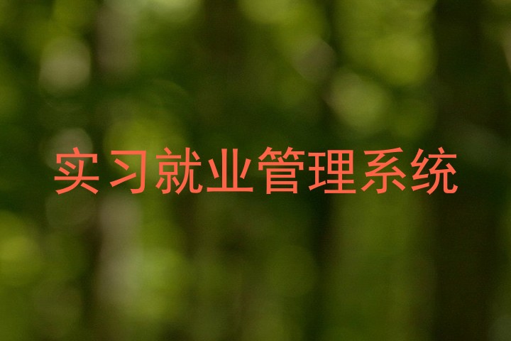 实习就业管理系统