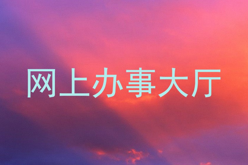 网上办事大厅