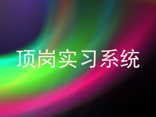 顶岗实习系统
