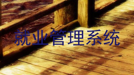就业管理系统