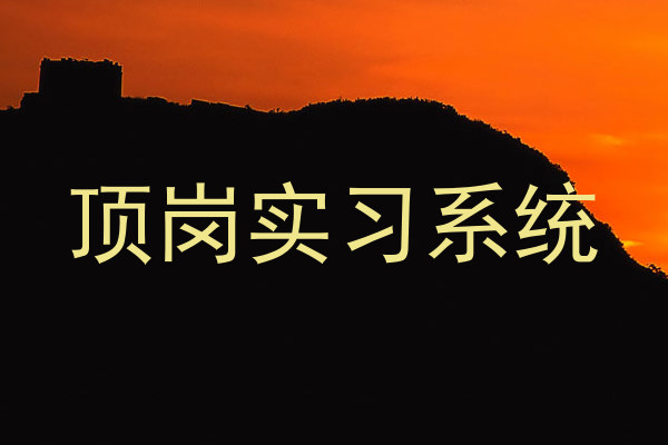 顶岗实习系统