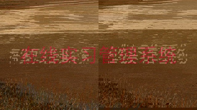 在线实习管理系统