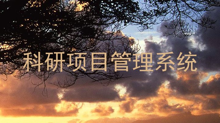科研项目管理系统