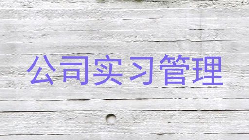 公司实习管理