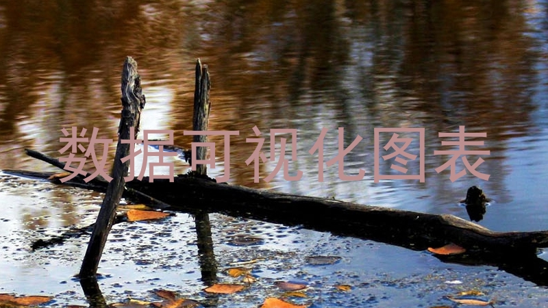 数据可视化图表