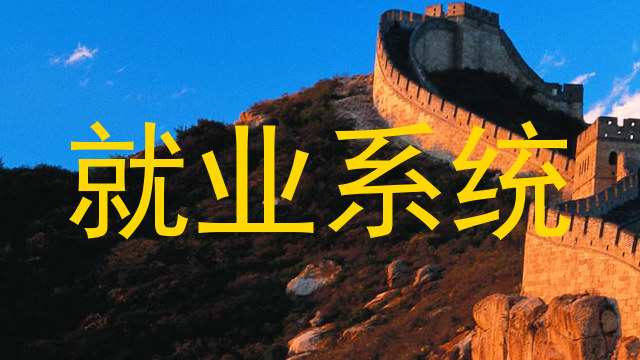 就业系统