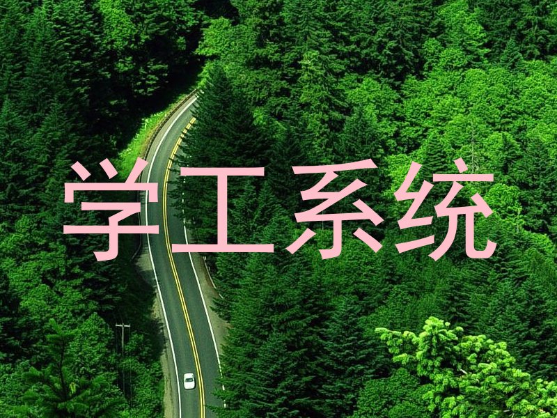 学工系统