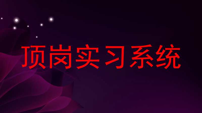 顶岗实习系统