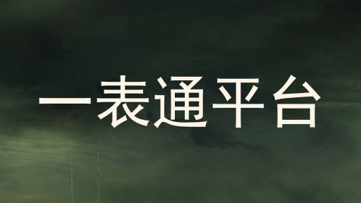 一表通平台