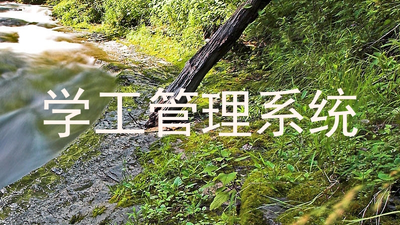 学工管理系统