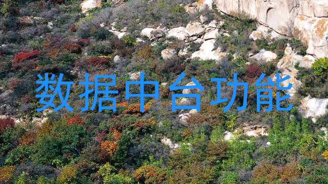 数据中台功能