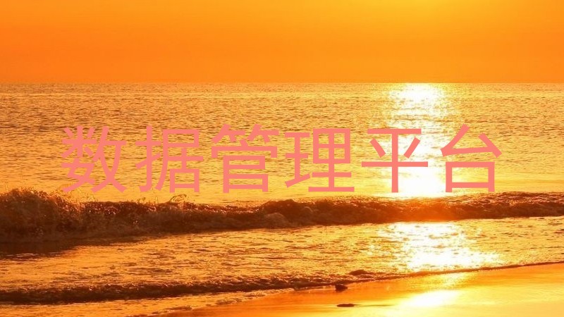 数据管理平台