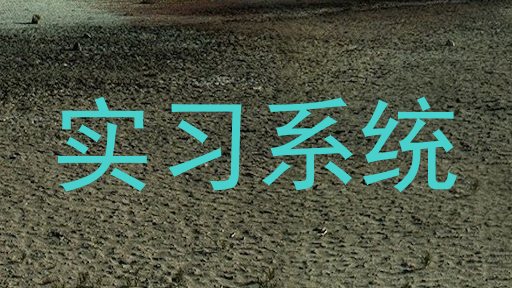 实习系统