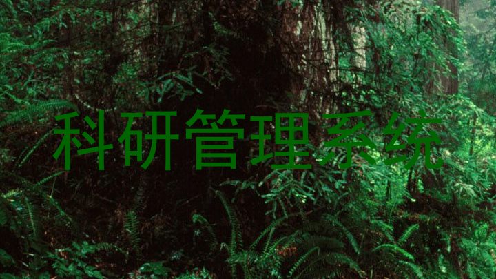 科研管理系统