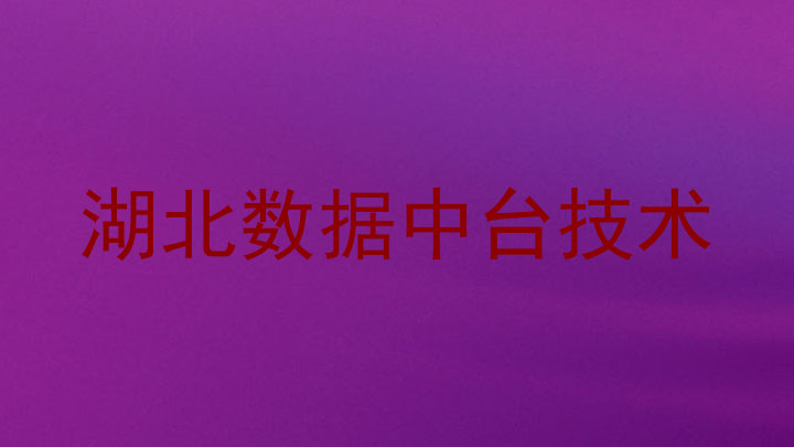 湖北数据中台技术