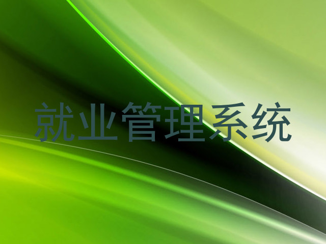 就业管理系统