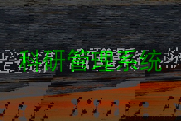 科研管理系统