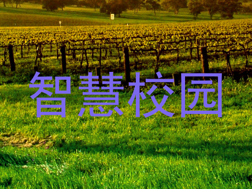 智慧校园