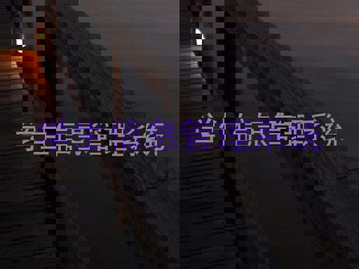 学生信息管理系统