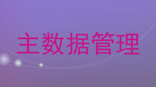 主数据管理