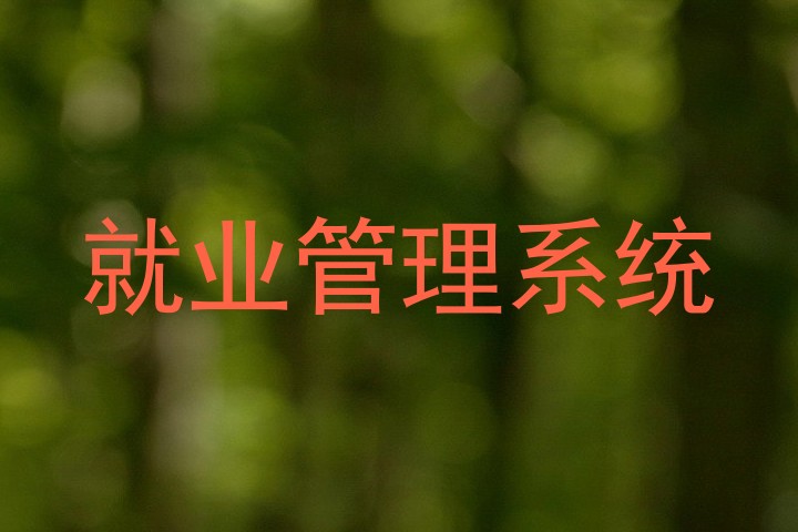 就业管理系统