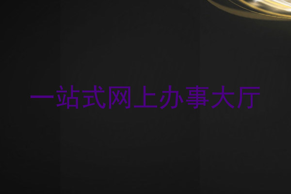 一站式网上办事大厅