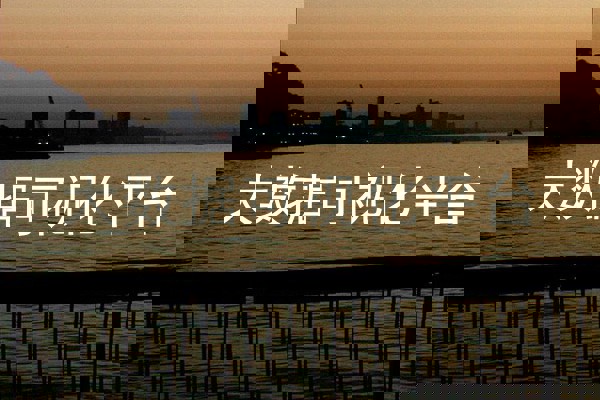 大数据可视化平台