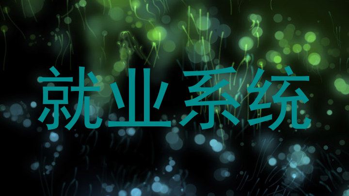 就业系统