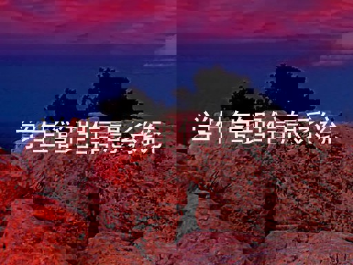 学生管理信息系统