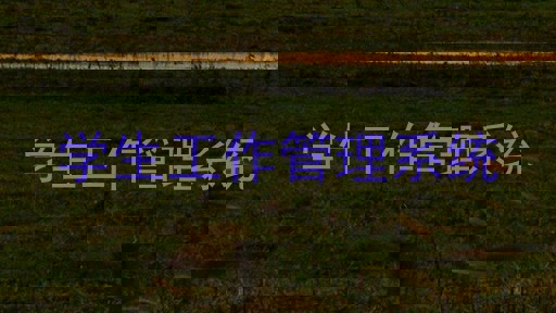 学生工作管理系统