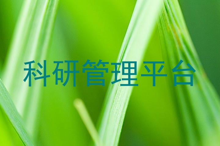 科研管理平台